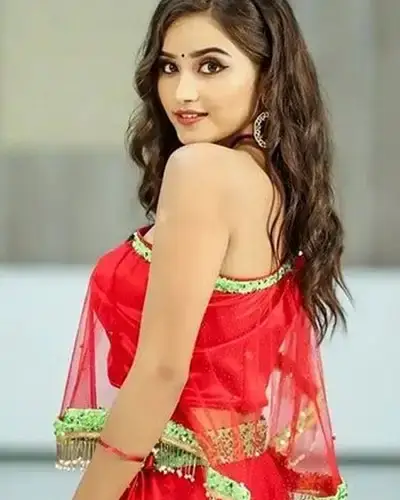 Call Girls Service Narayanavanam
